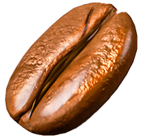 bean